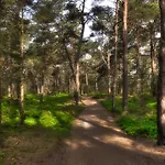 بيت للعطل Waldparadies بريرو